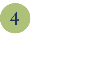 Visit the Memory Tree in Portsmouth